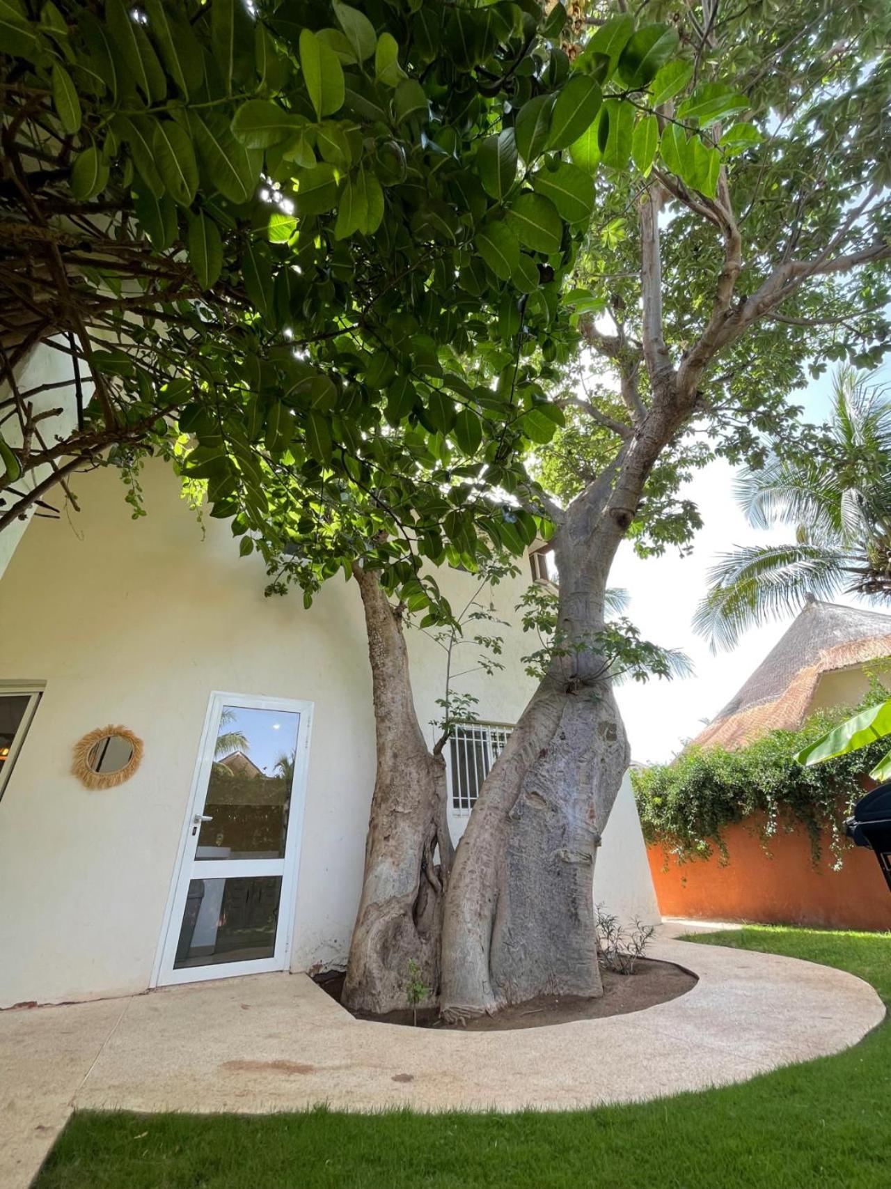 Agence Adjana Resort - Residence Du Port 3 Sali Tapé Exterior foto